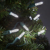 50 M5 Cool White LED Lights 4" Spacing_4