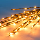 Vickerman - X15B607 - BulbAmerica