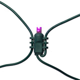 Vickerman - X4G4616T - BulbAmerica