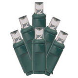 Vickerman 50 Light LED Warm White 4in. x 16 ft.