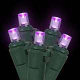 100 Purple LED Lights / Green Wire Wide Angle 34Ft. Christmas Set - BulbAmerica