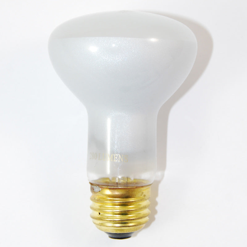 Satco S8519 45W 130V R20 Frosted E26 Medium Base Incandescent light bulb