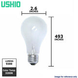 Ushio - 1000024 - BulbAmerica