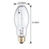 Philips - 429902 - BulbAmerica