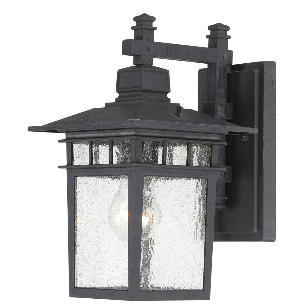 Cove Neck 1-Light Wall Lantern Outdoor Light Fixture in Textured Black Finish