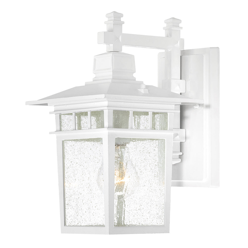 Nuvo Cove Neck 1-Light 12" Outdoor Lantern w/ Clear Seed Glass in White Finish