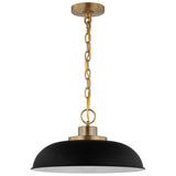 Colony 1-Light Small Pendant Matte Black with Burnished Brass