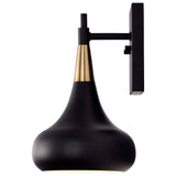 Phoenix 1-Light Wall Sconce Matte Black with Burnished Brass_1