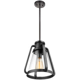 Everett 1-Light 10-in Pendant Matte Black with Clear Glass_1