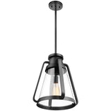 Everett 1-Light 14-in Pendant Matte Black with Clear Glass_1