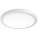Blink Pro - 34w 19 in. CCT Selectable LED Round Surface Mount White Finish