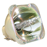 Sanyo POA-LMP130 - Genuine OEM Philips projector bare bulb replacement