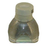 Sanyo PLC-XW200 - Genuine OEM Philips projector bare bulb replacement - BulbAmerica