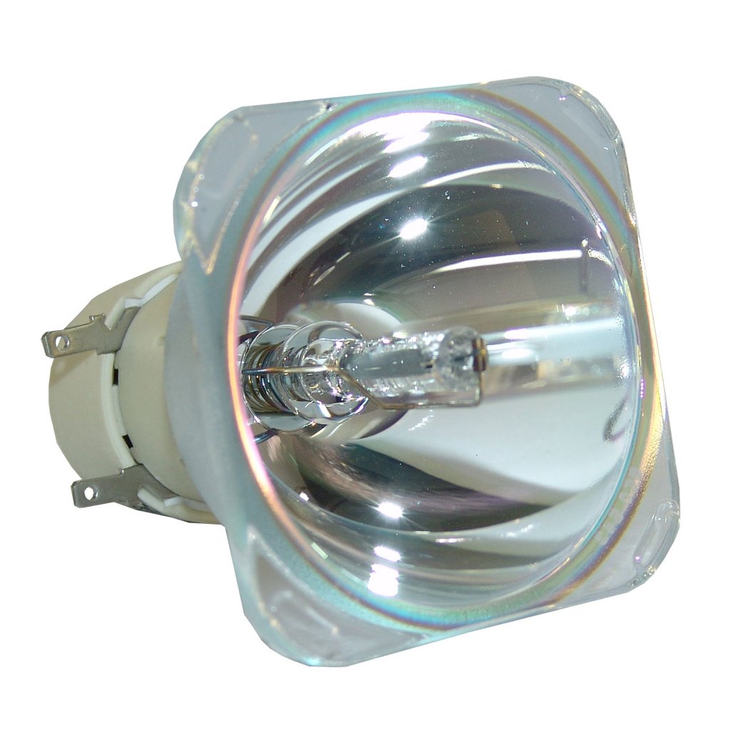BenQ 5J.J4L05.001 - Genuine OEM Philips projector bare bulb replacement