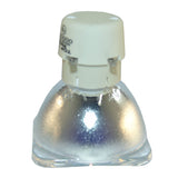 ACTO DX216ST - Genuine OEM Philips projector bare bulb replacement - BulbAmerica