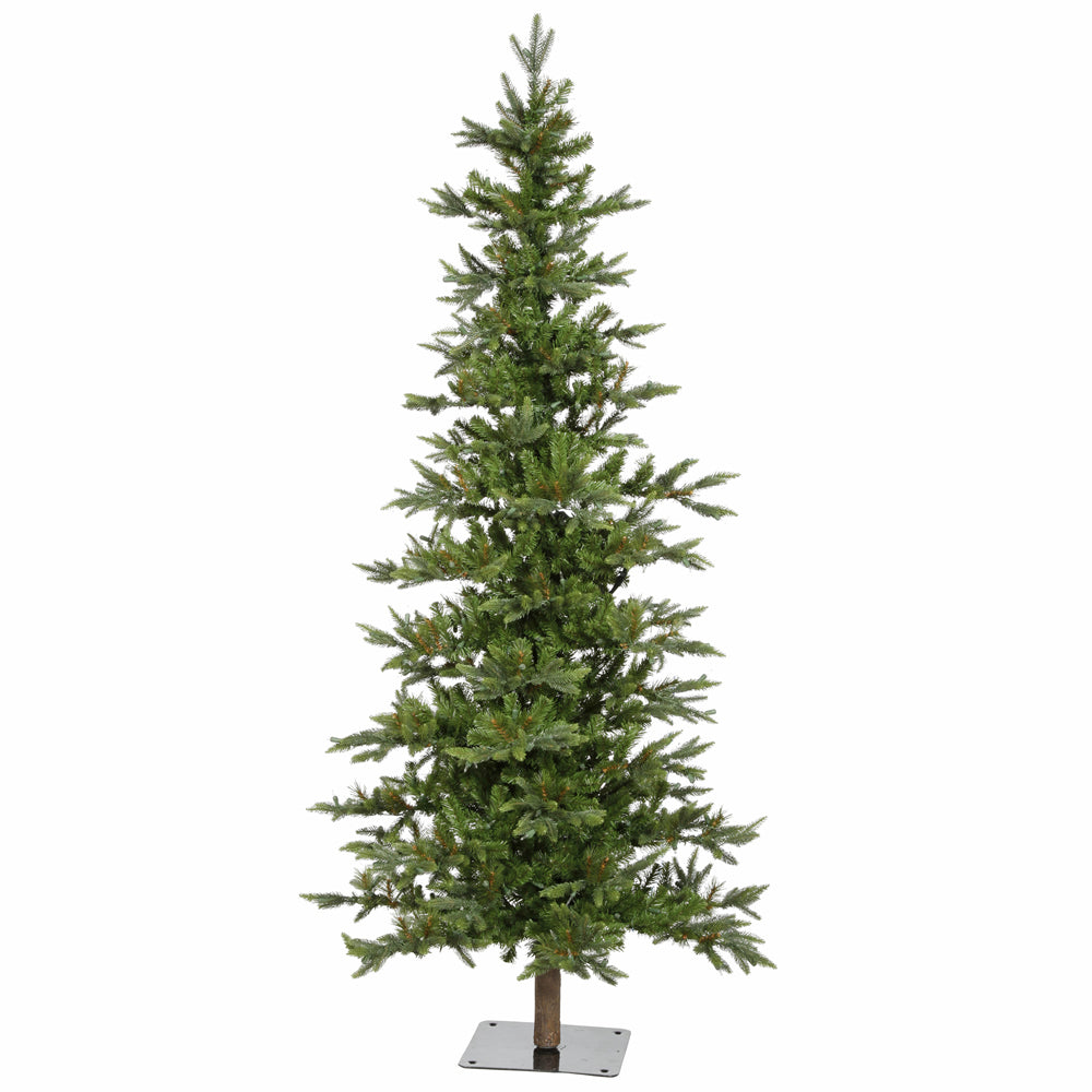 Vickerman 6 ft. Shawnee Fir 708 Tips Christmas Tree
