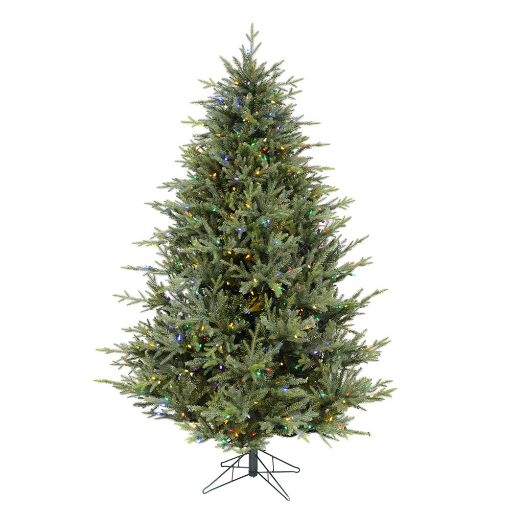 Vickerman 12 ft. Itasca Frasier LED 7718 Tips Christmas Tree