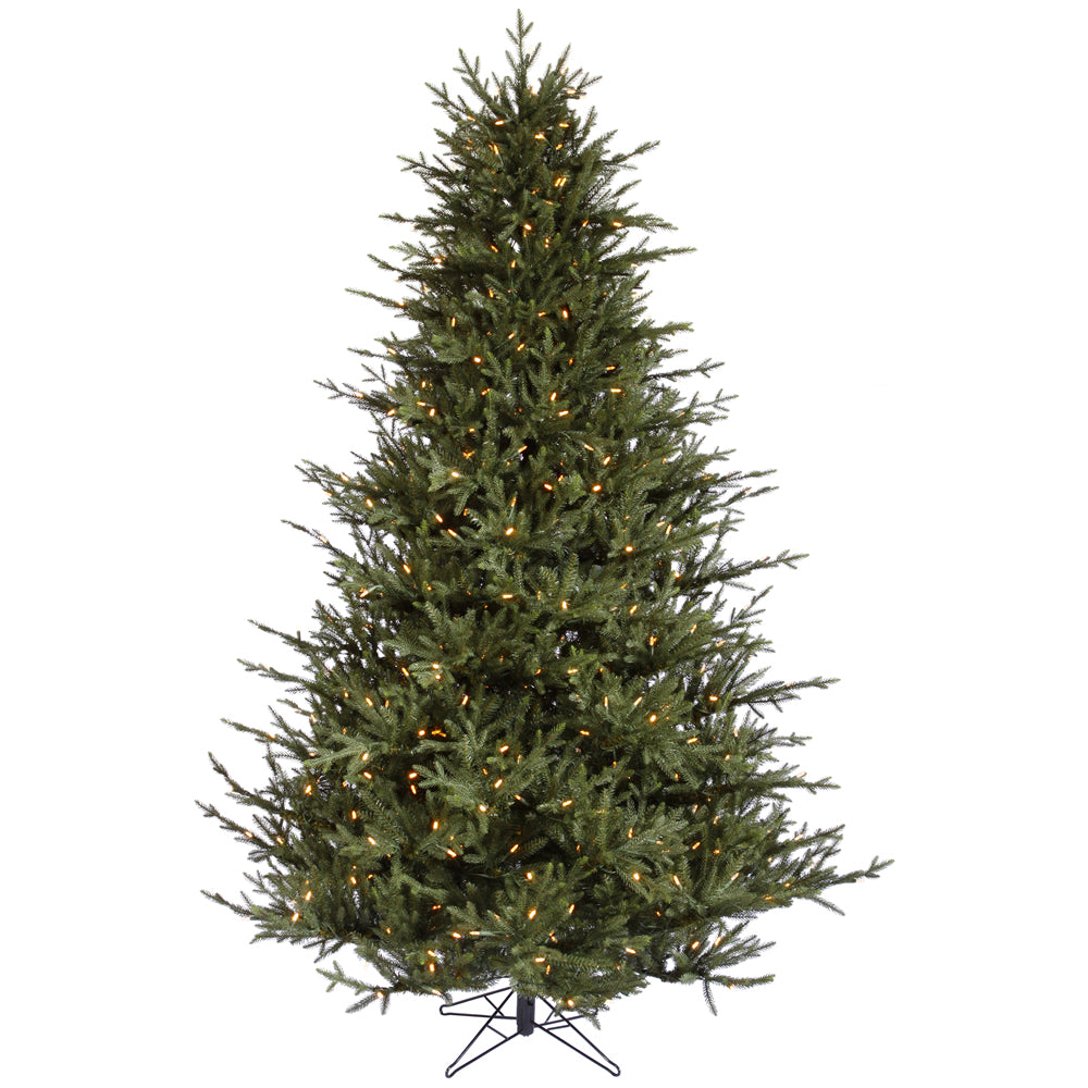Vickerman 12 ft. Itasca Frasier LED 7718 Tips Christmas Tree