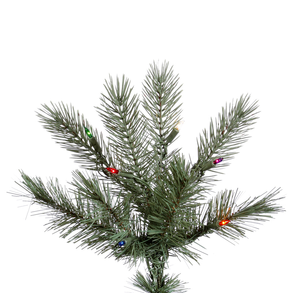 Vickerman 9.5Ft. Green 2168 Tips Christmas Tree 900 Multi-color Italian LED