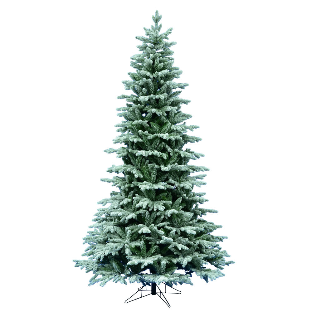 Vickerman 7.5 ft. Frosted Balsam Fir 1376 Tips Christmas Tree