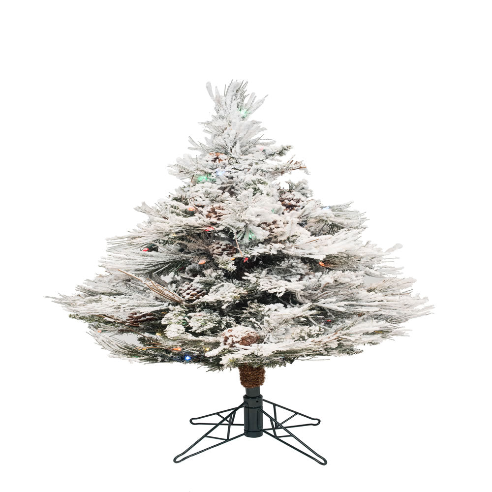 Vickerman 3.5 ft. Flocked Alberta LED 198 Tips Christmas Tree