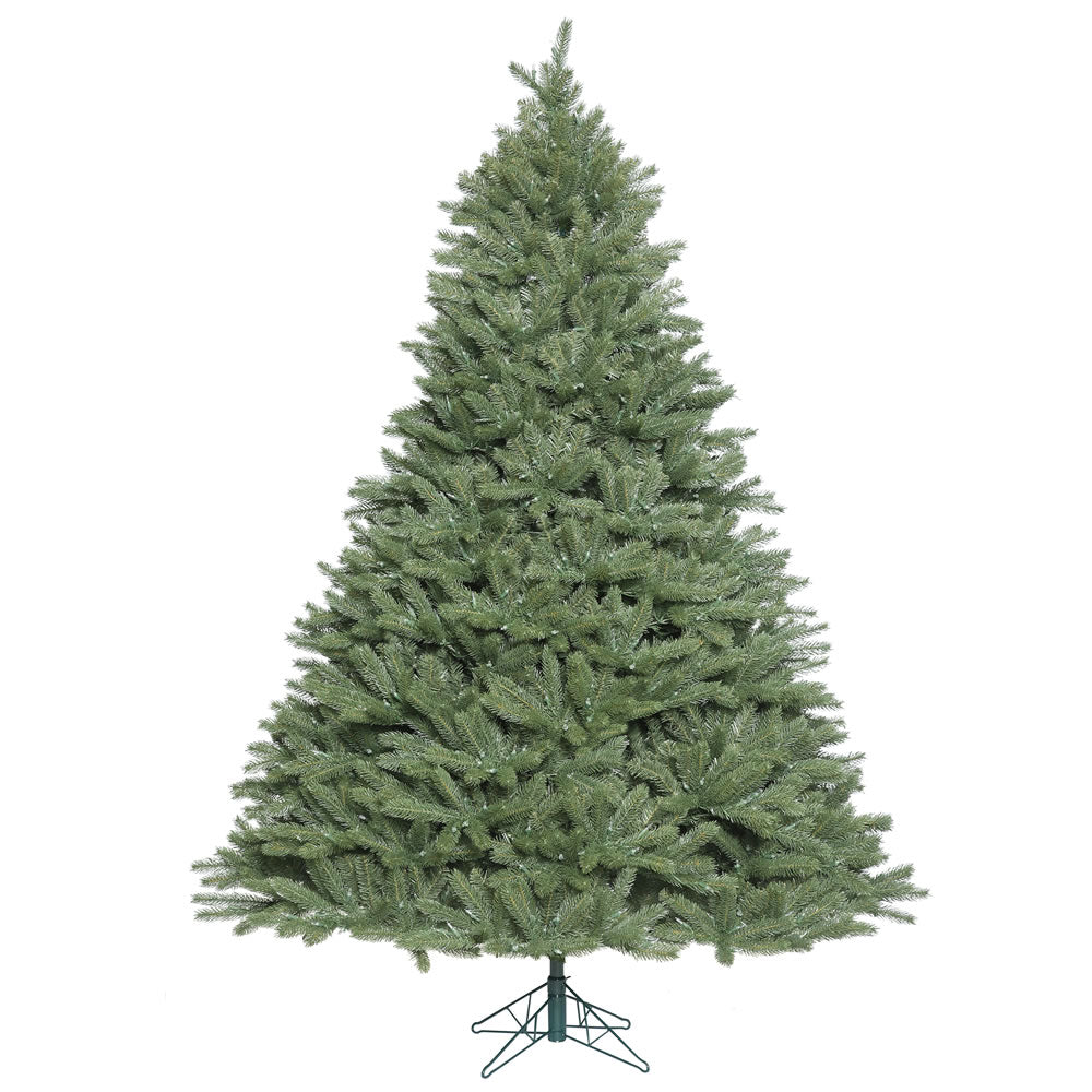 Vickerman 5.5 ft. Colorado Spruce 1074 Tips Christmas Tree