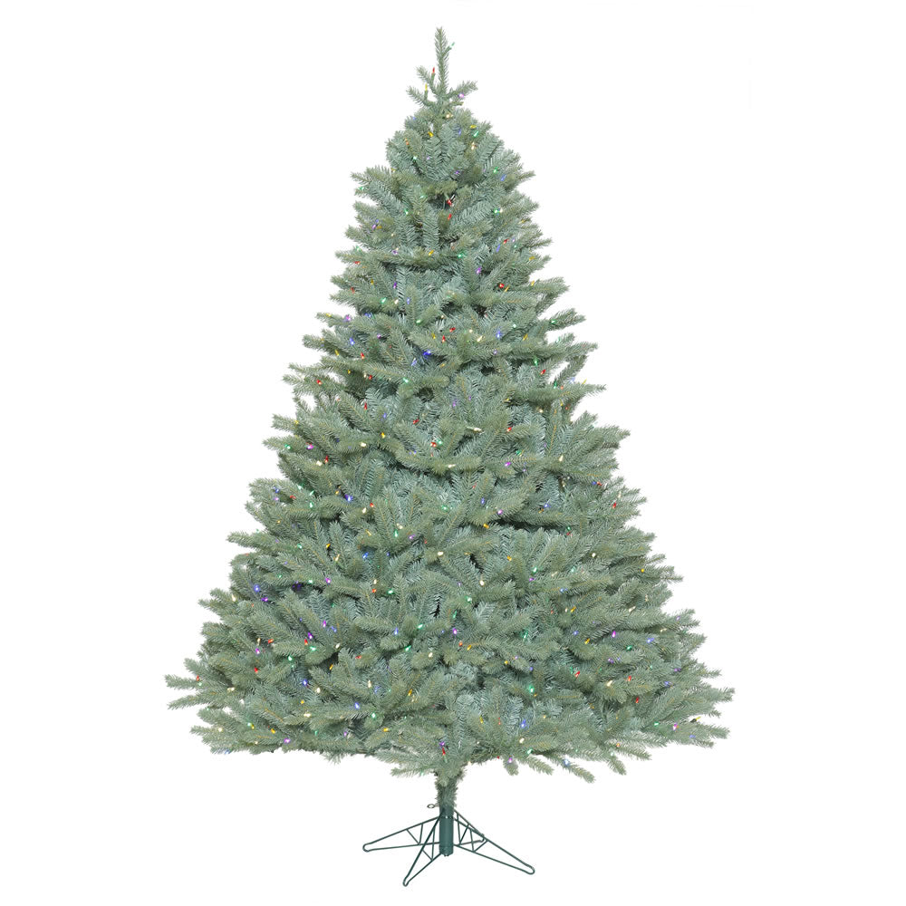 Vickerman 5.5 ft. Colorado Blue Spruce LED 1074 Tips Christmas Tree