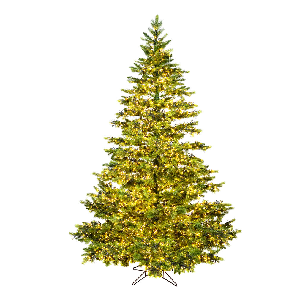 Vickerman 9 ft. Takoma Frasier Fir Dura-Lit LED 3175 Tips Christmas Tree