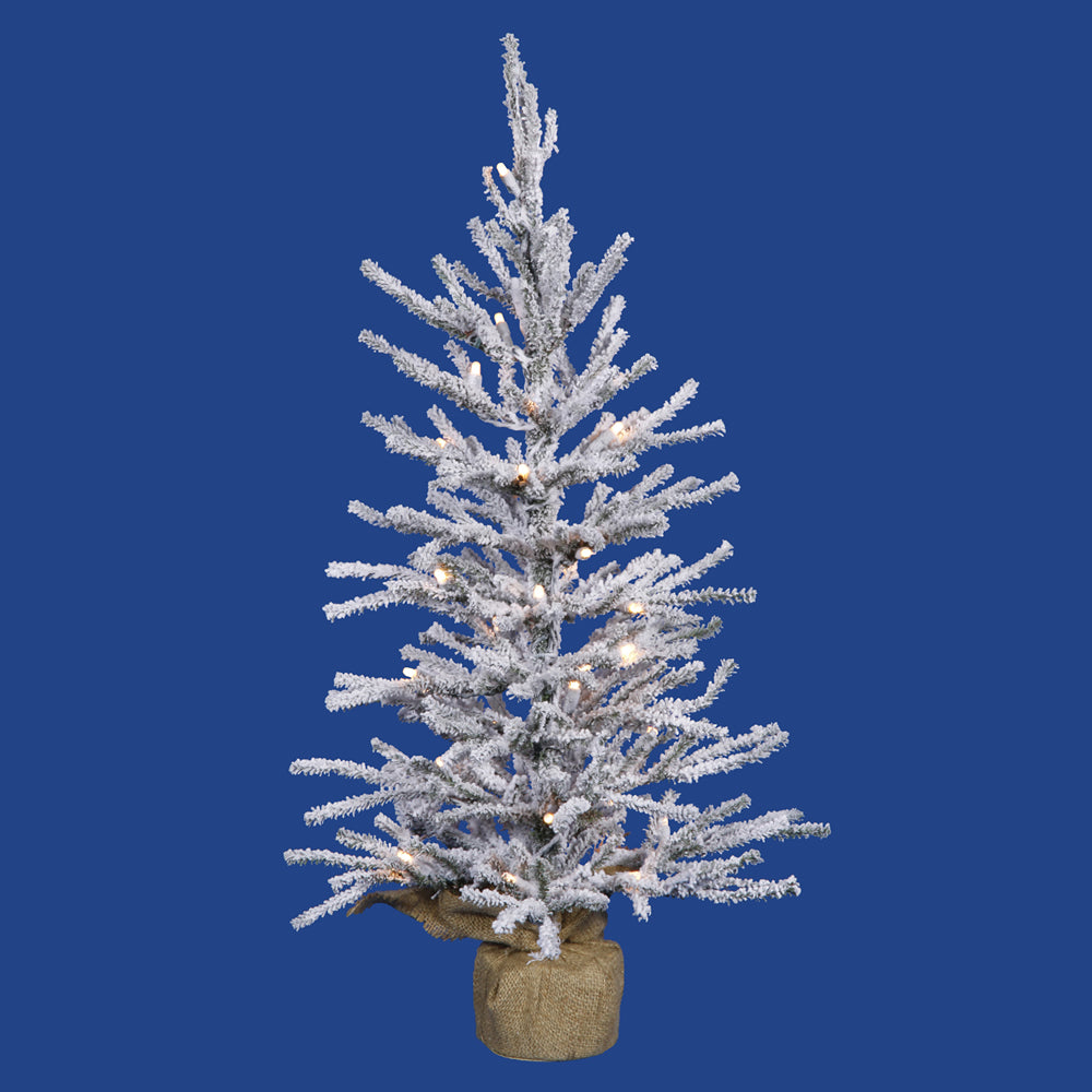 Vickerman 36" Frosted Angel Pine Artificial Christmas Tree - 50 Clear Lights