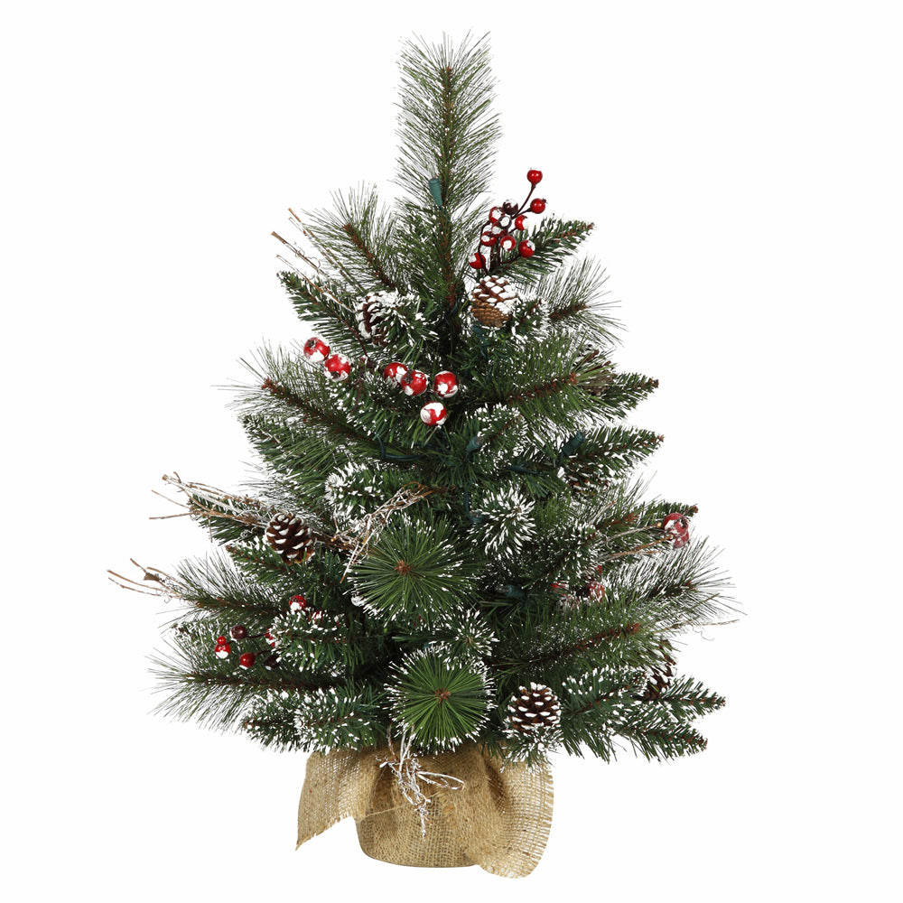 Vickerman 2' Unlit Snow Tip Pine and Berry Artificial Christmas Tree Burlap Base