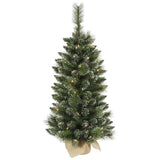 Vickerman 3' Snow Tipped Mixed Pine Tree - 50 Warm White LED Lights Burlap base