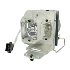 Optoma BL-FP210A Projector Housing with Genuine Original OEM Bulb