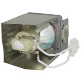 Optoma FX.PE884-2401 Projector Lamp with Original OEM Bulb Inside_1
