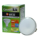 GreenLux - G8000572 - BulbAmerica