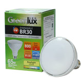 GreenLux - G8000589 - BulbAmerica