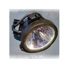 Synelec LM-800 Assembly Lamp with Quality Projector Bulb Inside