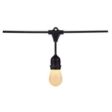 24-ft 12w 120v 12-S14 Lamp Tunable White IOT Starfish LED String Light - BulbAmerica