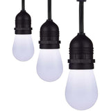 24-ft 12w 120v 12-S14 Lamp Tunable White IOT Starfish LED String Light_2