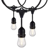 24-ft 12w 120v Warm White LED String Light - Includes 2200K 12-S14  bulbs