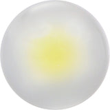 SYLVANIA 194 T10 W5W White LED Automotive Bulb_1