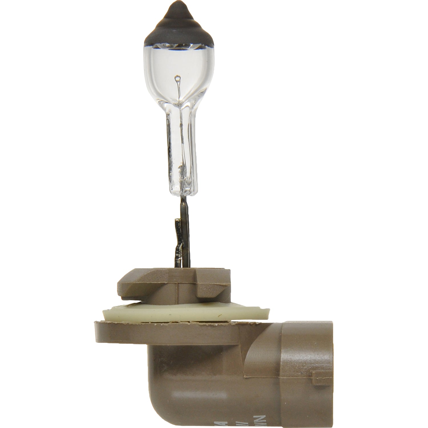thumbnail image 2 of HELLA H16 Standard Halogen Bulb, 12 V, 19W 2 of 13