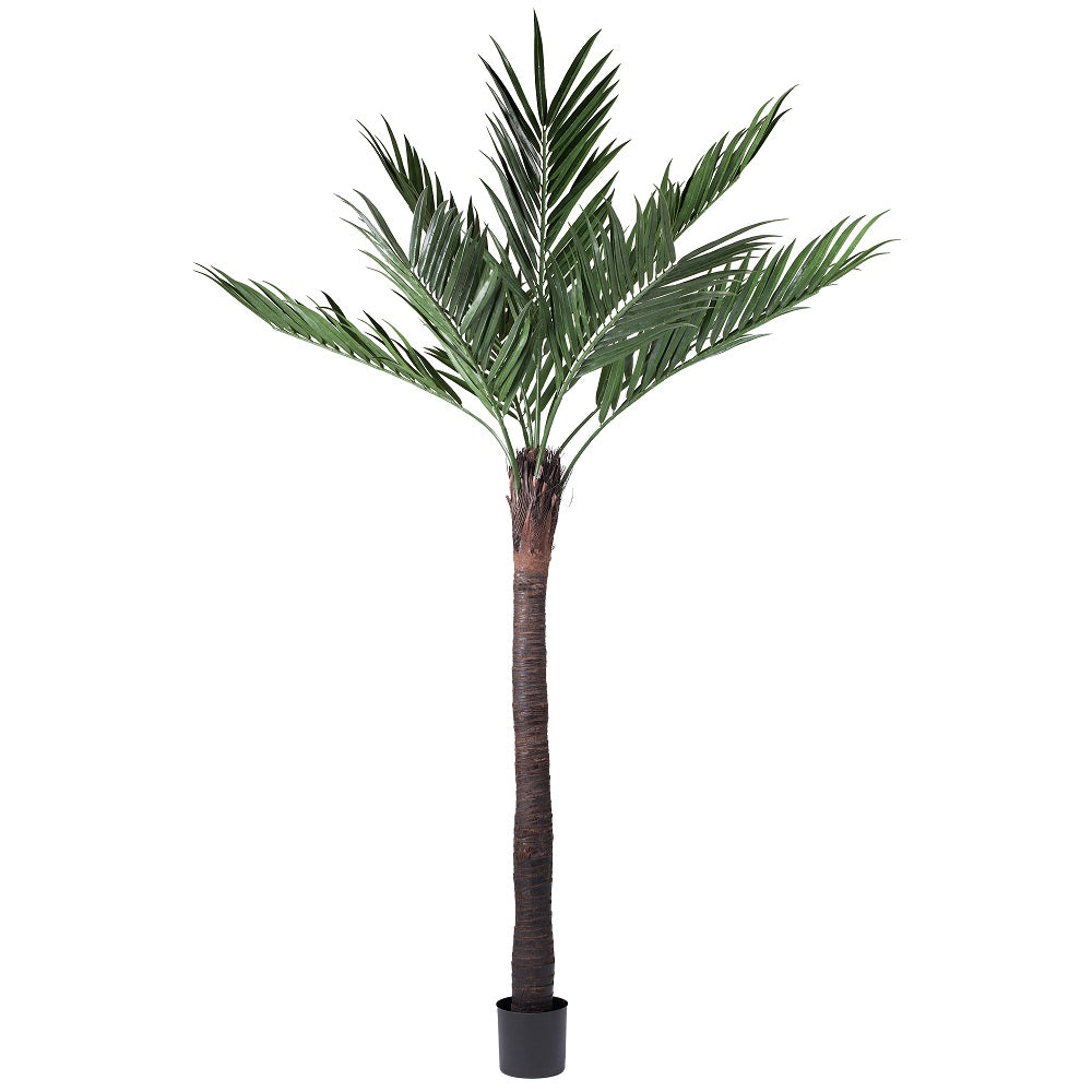 Vickerman 8' UV Resistant Kentia Palm 9 Fronds w/ 288 Leaves Natural Coco Trunk