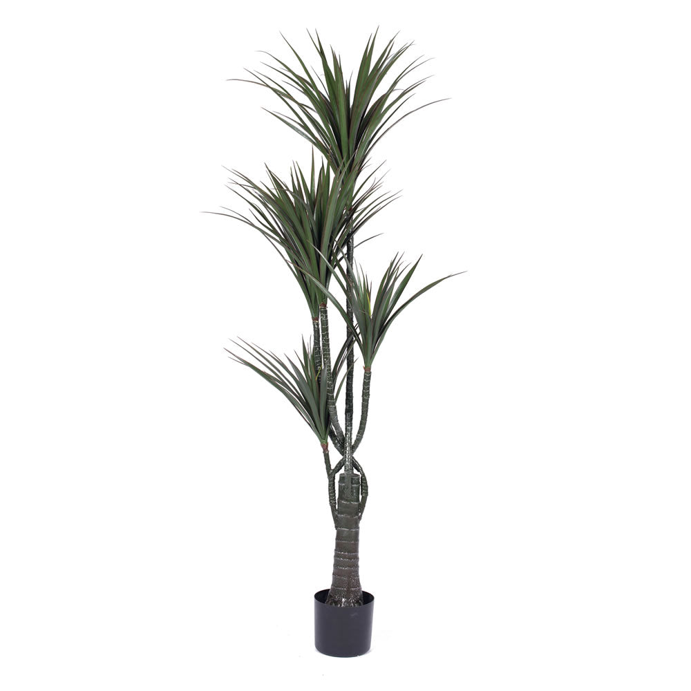 Vickerman 60'' UV Resistant Artificial Giant Yucca Tree 5 Branch Pot 167 Leaves
