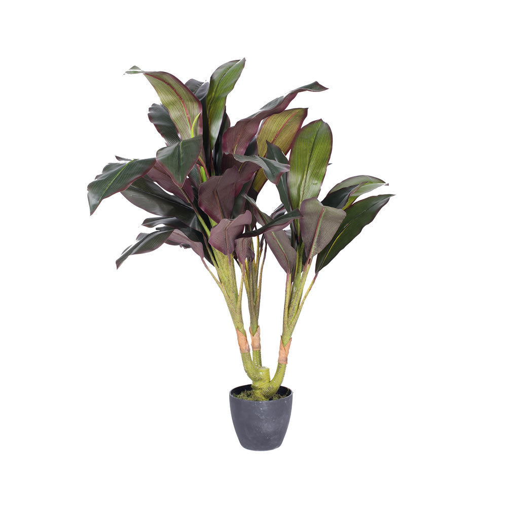dracaena silk Vickerman 30" Real Touch Dracaena in Pot