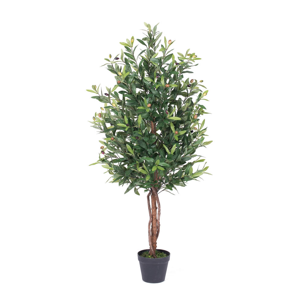 Vickerman 50" Artificial Olive tree in pot Silk Poly BulbAmerica