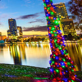 70 Multicolor 5mm LED Christmas Lights, Green Wire, 23.7ft. - BulbAmerica