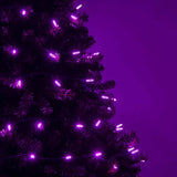 70 Purple M5 LED Lights, Green Wire, 4" Spacing_2
