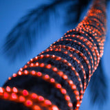 WinterGreen 150 ft Red LED Rope Light 2-Wire 120 Volt - BulbAmerica